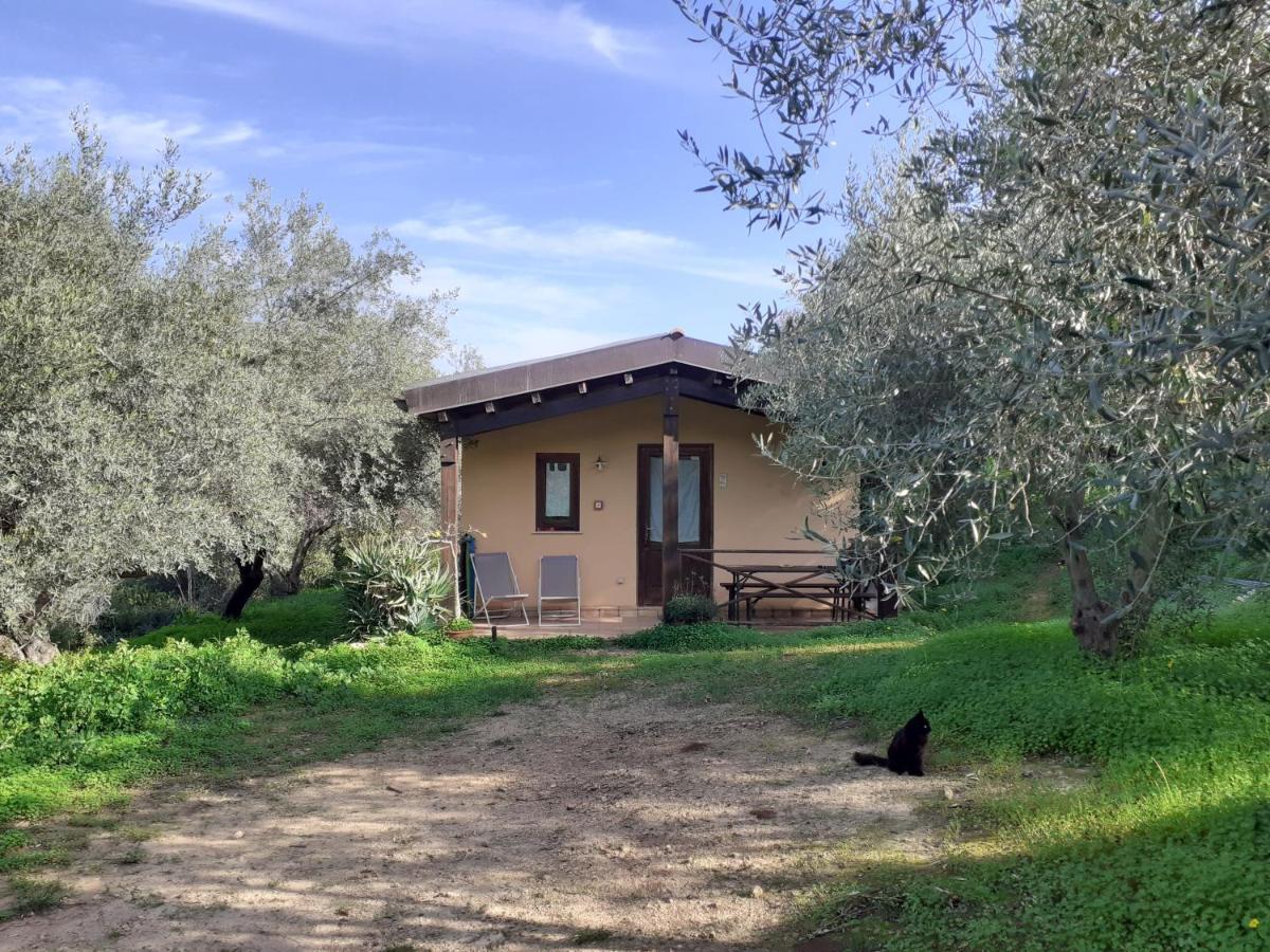Agriturismo Terra Di Pace Ното Экстерьер фото