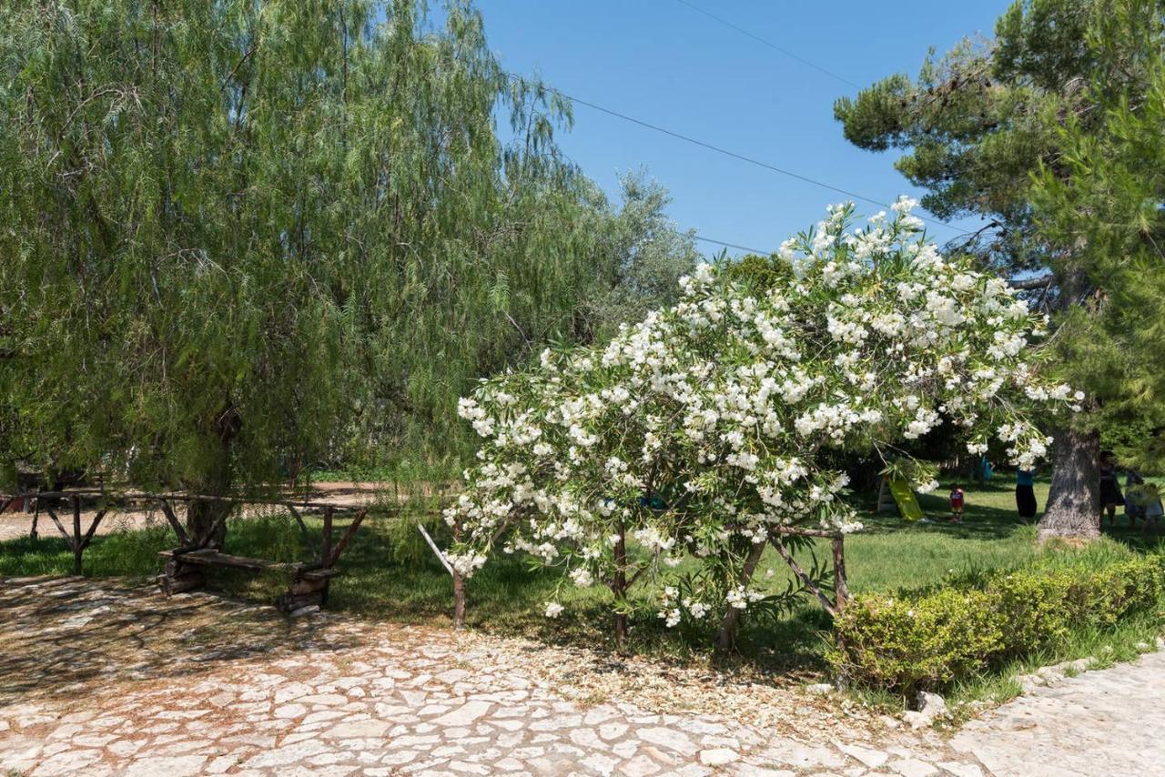 Agriturismo Terra Di Pace Ното Экстерьер фото