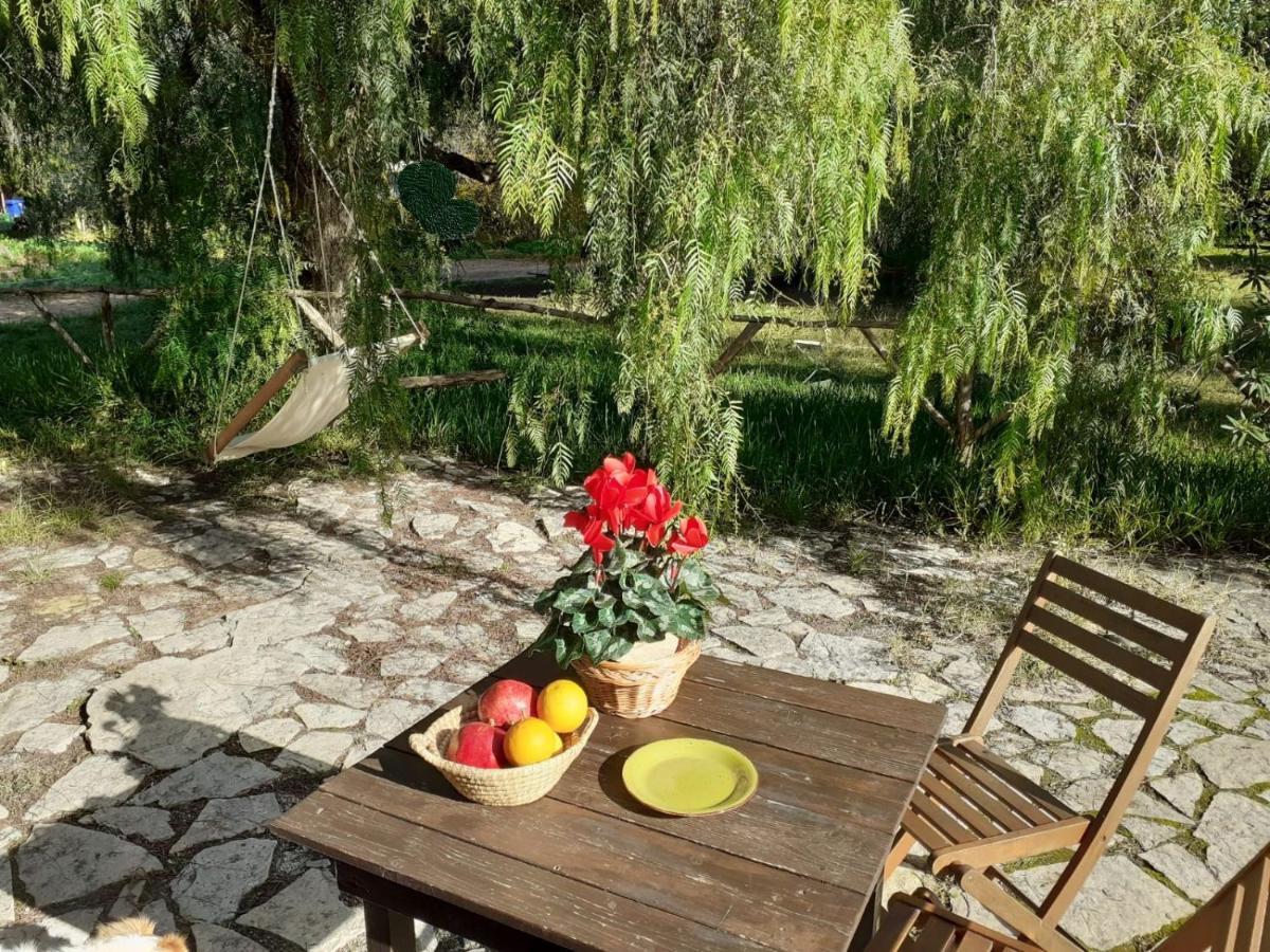 Agriturismo Terra Di Pace Ното Экстерьер фото